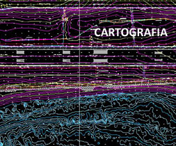 Cartograf�a